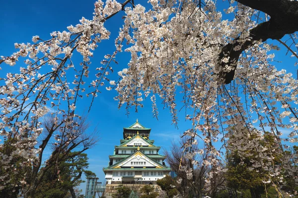 Osaka Castle Surrounded Cherry Tree Flowers Spring Japan — Stock Photo, Image