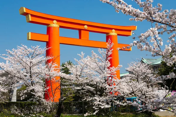 Grote Torii Poort Kyoto Met Kersenboom Bloesem Het Voorjaar Japan — Stockfoto