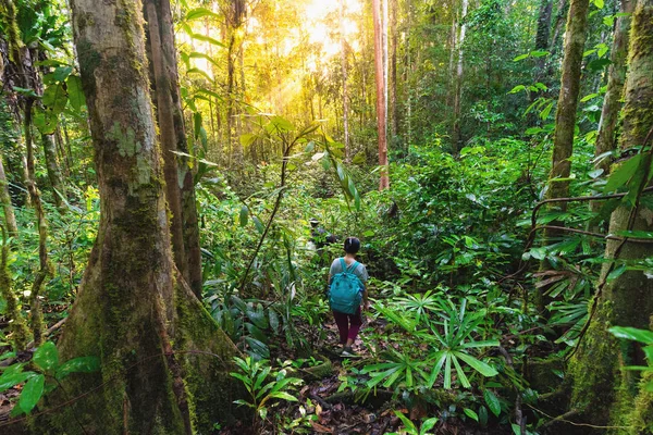 여자는 파푸아 인도네시아의 열대우림 트레킹 — 스톡 사진