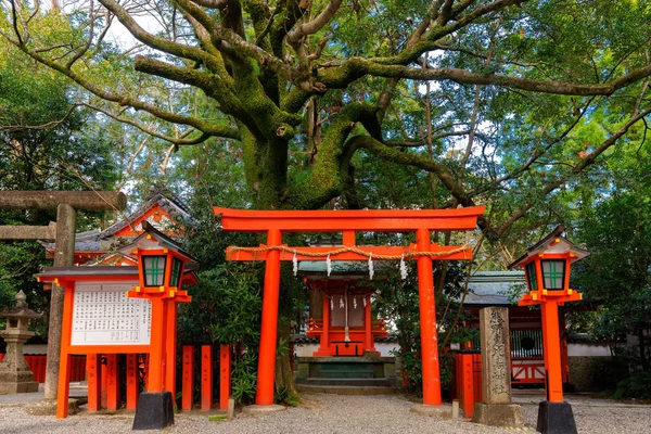 Pohon kuno dan kuil Jepang — Stok Foto