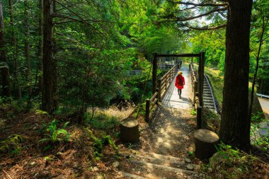 Kumano Kodo'da Trekking