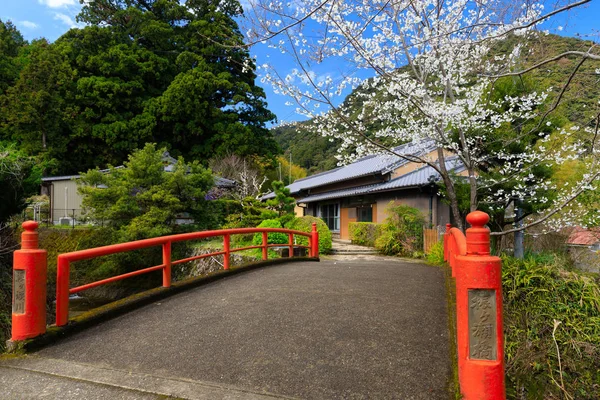 Puente japonés y flores de cerezo —  Fotos de Stock