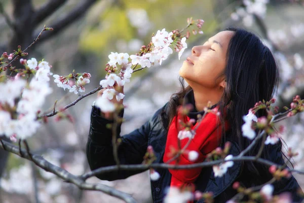 Lady at Japanese spring — Stock Photo, Image