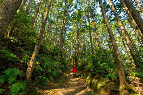 Žena v červených trekingu v lese — Stock fotografie