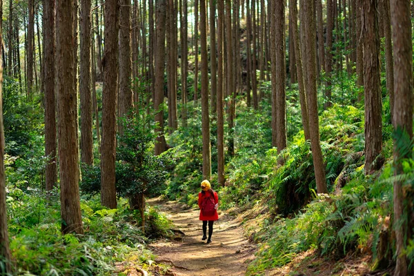 Žena v červených trekingu v lese — Stock fotografie