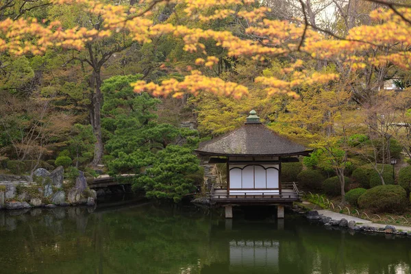 Японський сад на srping — стокове фото