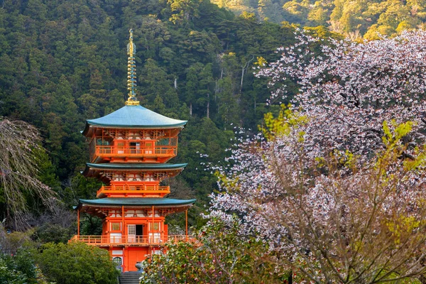 Japanse pagode en kersenboom bloemen — Stockfoto