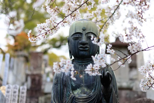 Buddha-Gesicht und Kirschbaumblüten — Stockfoto