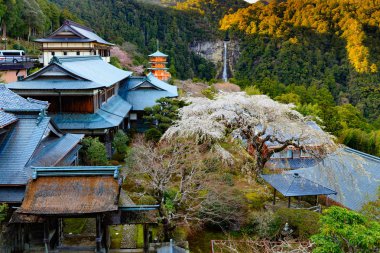 Tapınaklar ve şelale Japon manzara