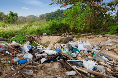 Plaj plastik kirliliği