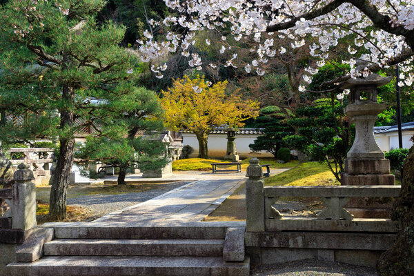 Японский сад весной
