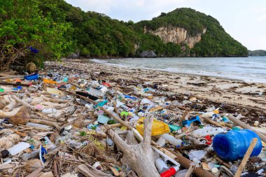 Plaj plastik kirliliği
