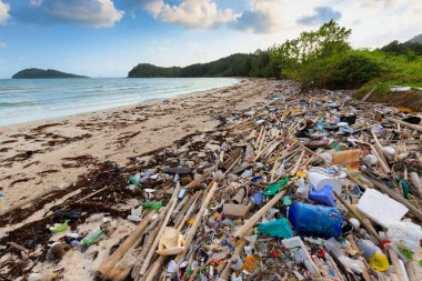 Plaj plastik kirliliği