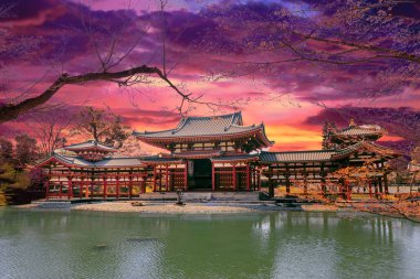 Japon anka kuşu tapınağı