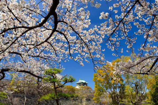 Osakas slott och park — Stockfoto