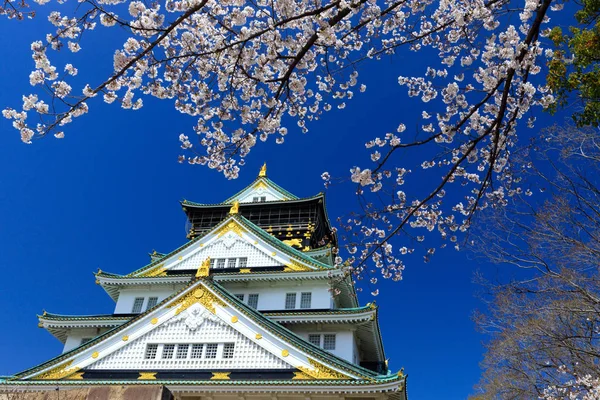 Kasteel Osaka met Sakura-bloemen — Stockfoto