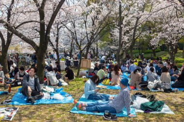 Japonya'da Kiraz ağaçlarının altında piknik