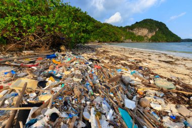 Plaj plastik kirliliği