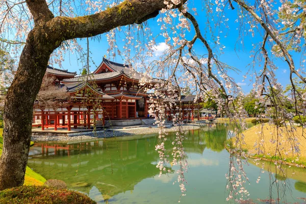 The Japanese Byodo-in temple — Stock Photo, Image