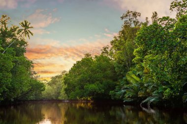 Papua'da sıcak gün doğumu