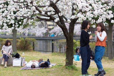 Kiraz ağaçlarının altında selfie'ler
