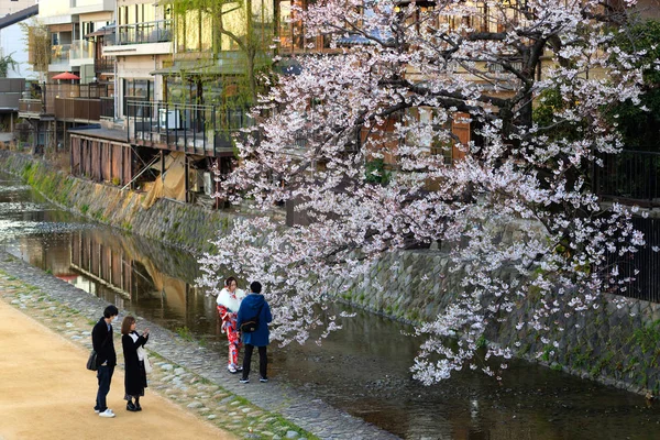 Turisti che fotografano fiori Sakura — Foto Stock