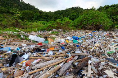 Plaj plastik kirliliği