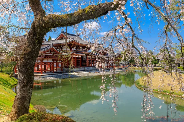 The Japanese Byodo-in temple — Stock Photo, Image