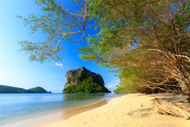 ıssız tropikal plaj