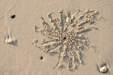 Delik ve balonlu yengeç topları