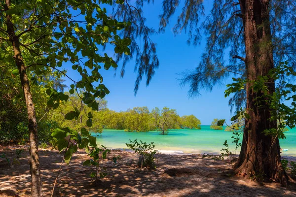 Spiaggia tropicale idilliaca — Foto Stock