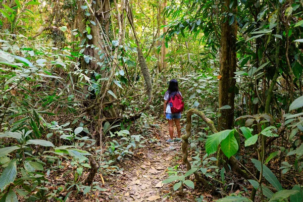 Žena trekking v asijské džungli — Stock fotografie