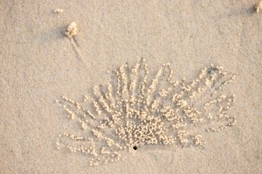 Delik ve balonlu yengeç topları