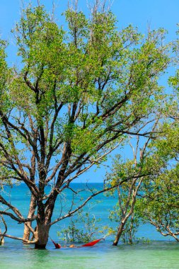 Deniz suyunda rahatlatıcı