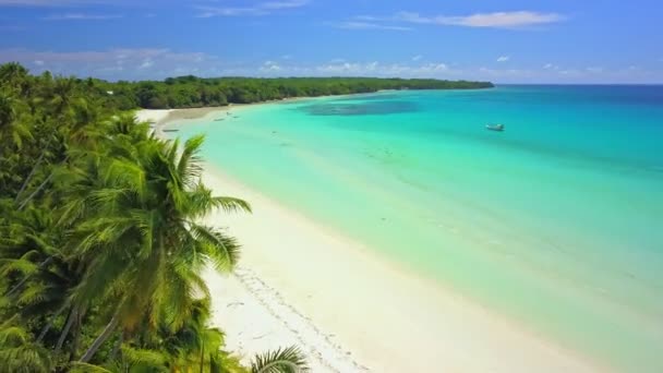 Volo Sulla Spiaggia Madwaer Nell Isola Kei Cecil Maluku Indonesia — Video Stock