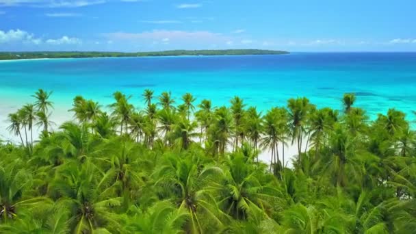 Volo Sulla Spiaggia Madwaer Nell Isola Kei Kecil Maluku Indonesia — Video Stock