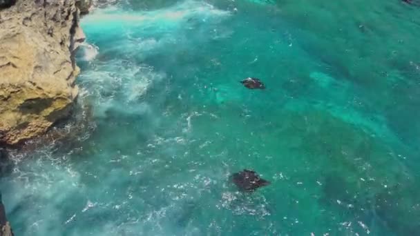 Aerial View Manta Rays Group Swimming Nusa Penida Island Bali — Stock Video