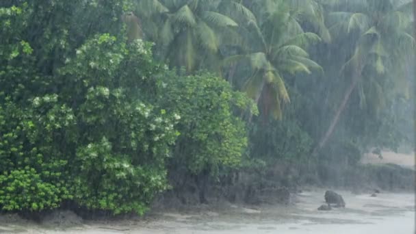 Slow Motion Heavy Tropical Rain Monsoon Time Wild Coastline Hatta — Stock Video