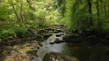 Saint Barbe Şapeli, Morbihan, Bretagne, Fransa yakınlarındaki Brittany ormanında Ell adındaki kayalık nehrin üzerinden uç.
