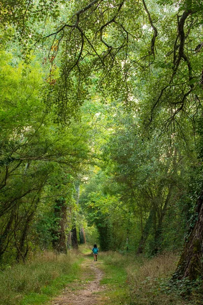 緑豊かな森の中で女性のトレッキング Marais Poitevin フランス — ストック写真