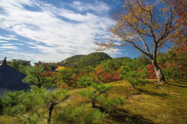 Kinkakuji Tapınağı, Kyoto Japonya sonbahar mevsiminde sonbahar bahçeli üstten görünüm altın Pavyonu. En ünlü Japonya yerlerinden özellikle Kansai alan üzerinde.