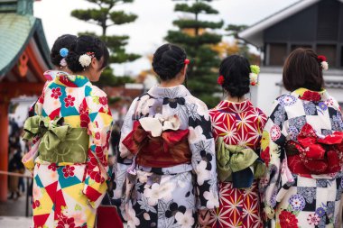 Arka atış ile geleneksel kimono Japon kız elbise Fushimi Inari tapınak sonbahar, Kyoto, Japonya.