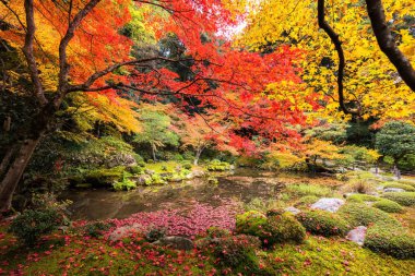Güzel sonbahar yaprakları Botanik Bahçesi ile gölet Nanzen-ji Tapınağı, Kyoto, Japonya.