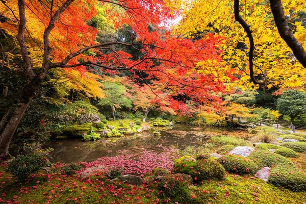 Hermoso Jardín Botánico Follaje Otoñal Con Estanque Templo Nanzen Kyoto — Foto de Stock