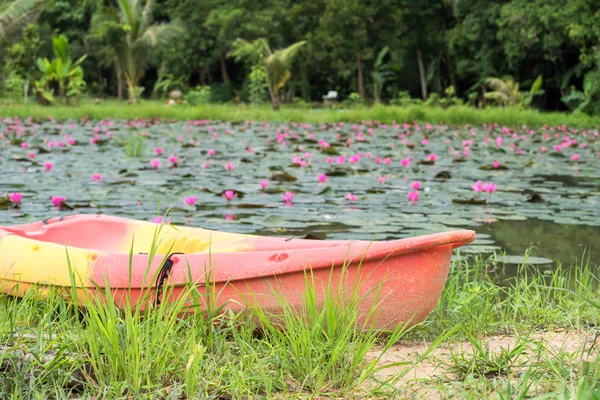 Colorido Barco Para Viajero Visitar Estanque Loto Rojo Nakhon Nayok —  Fotos de Stock