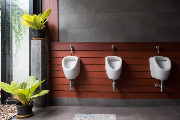 Toilettes Modernes Avec Rangée Urinoir Avec Décoration Végétale Dans Jardin — Photo