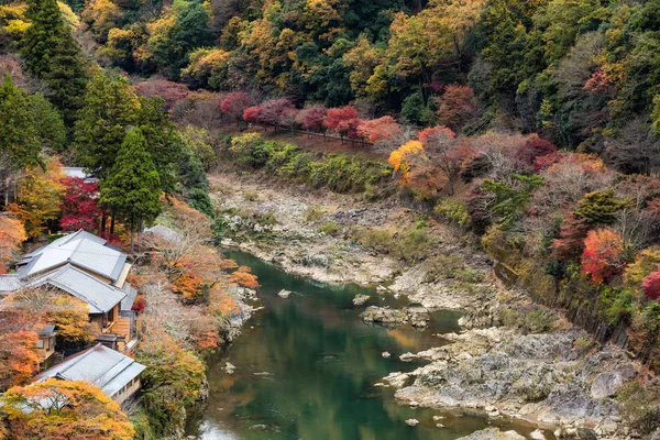 京都で紅葉を桂川と秋のシーズンは 美しい紅葉の森近くの家のトップ ビュー ポイント — ストック写真