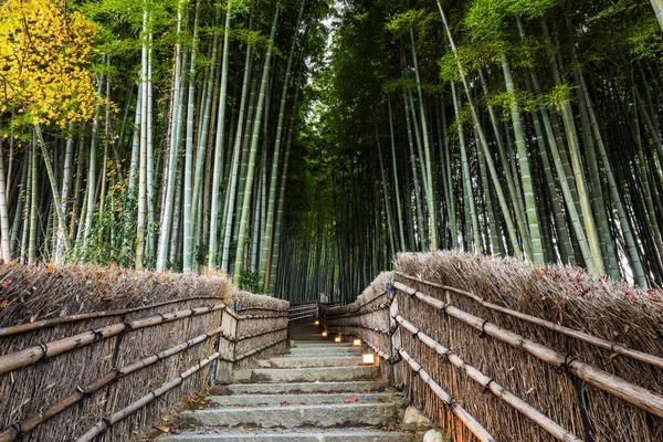 Arvoredo Bambo Trilha Escada Templo Adashino Nenbutsuji Com Cores Outono — Fotografia de Stock