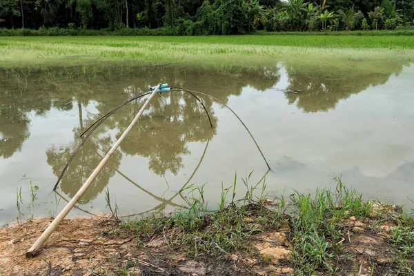 Malla Pescador Madera Cuelgan Pequeño Estanque Cerca Del Campo Arroz — Foto de Stock