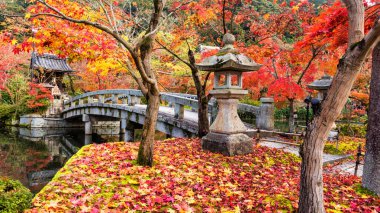 Eikan-do Zenrinji tapınak ve Bahçe tepe sonbahar yaprakları renkleri kırmızı akçaağaç halı ile geç Kasım ve gölet, Kyoto, Japonya yansıması Bridge'de.
